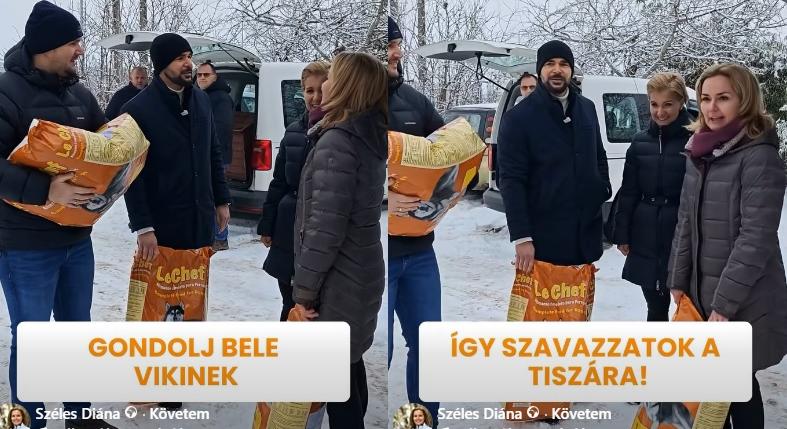 Kutya- és macskaadóval riogattak az “Együtt az Állatokért” menhelyén Széles Diánáék