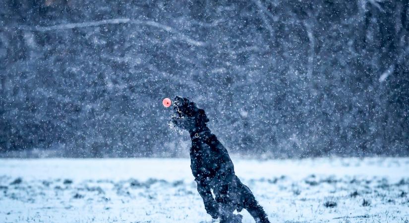 Több vármegye is narancssárgában úszik, hóvihar készülőben, zuhanórepülésben a hőmérséklet