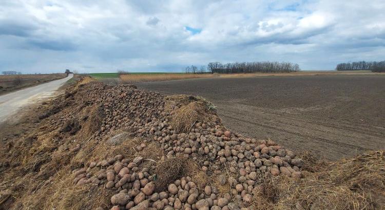 Termőföld hasznosítása másképp: komposzt és vízi műtárgyak