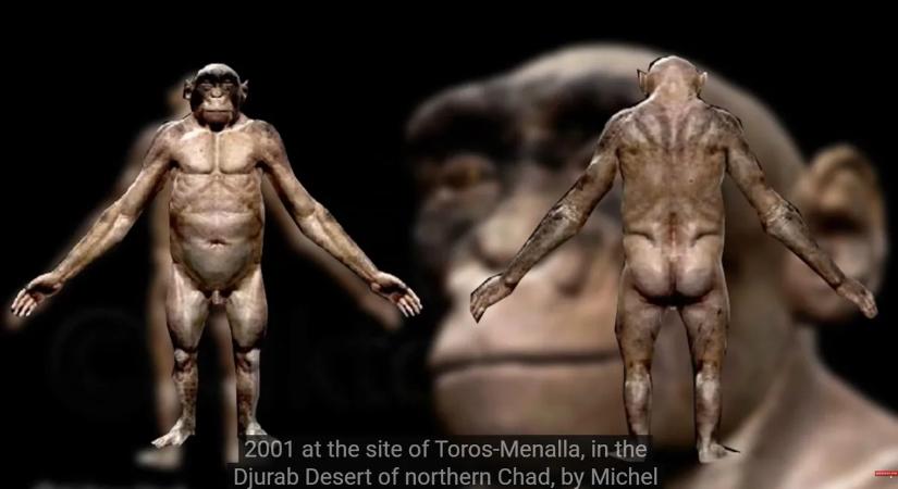 Ez a 7 millió éves lény írhatja át az evolúció történetét