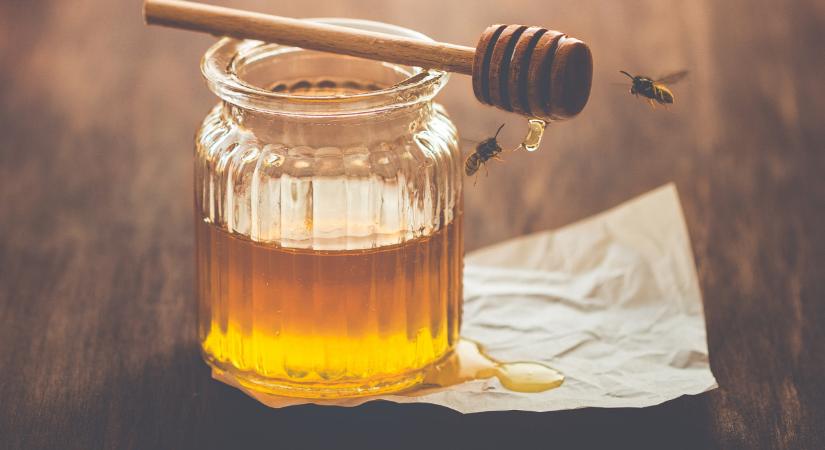 Feladják a harcot a magyar méhészek: már nem éri meg küzdeniük