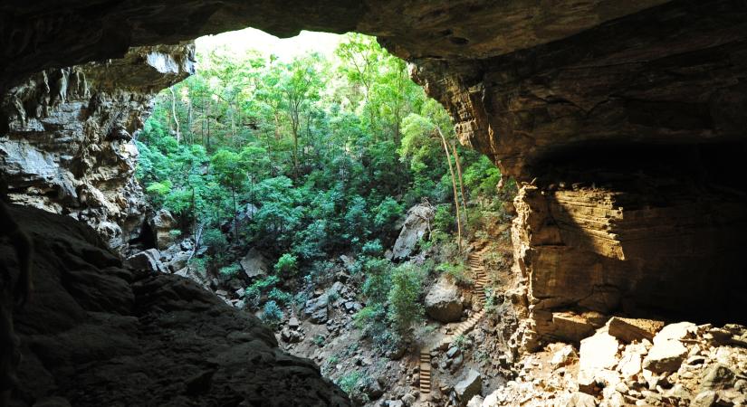 A világ egyik legveszélyesebb barlangja, aminek a mélyén elefánttemető van: az örök sötétségben halálos veszély les a látogatókra