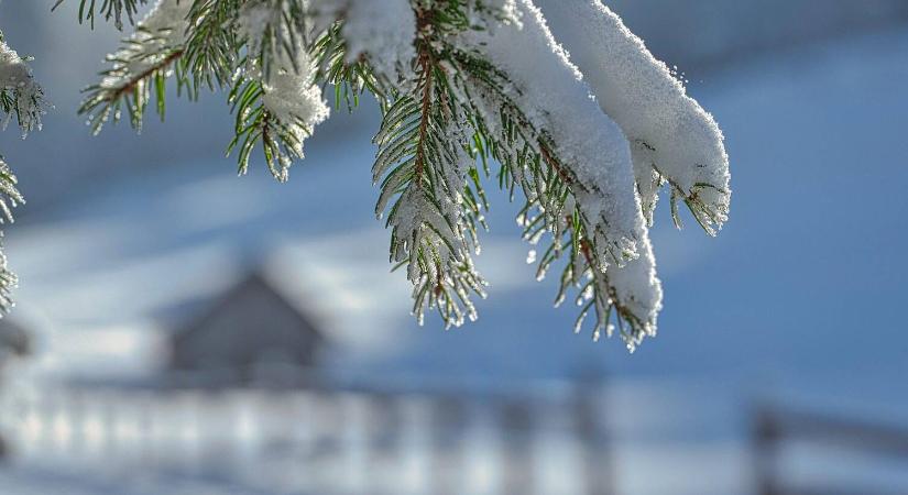 Nem ellenség, hanem szövetséges: miért örül a mezőgazdaság a hónak?