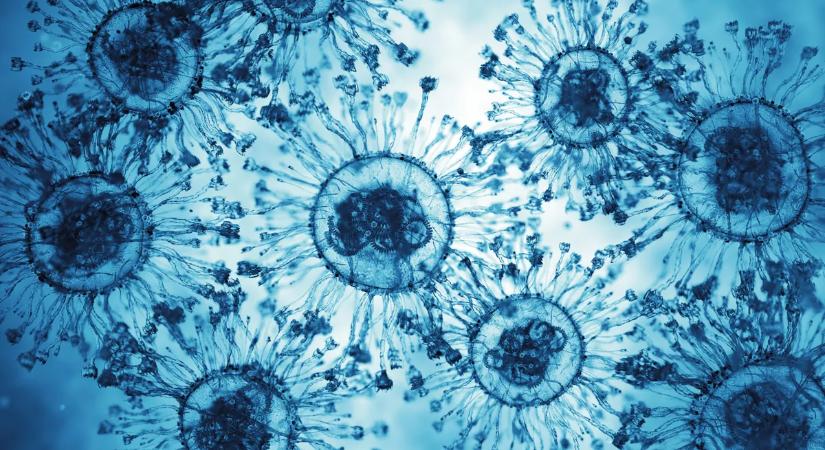 Arat a szuperinfluenza: rekordokat dönt a járvány itthon és világszerte