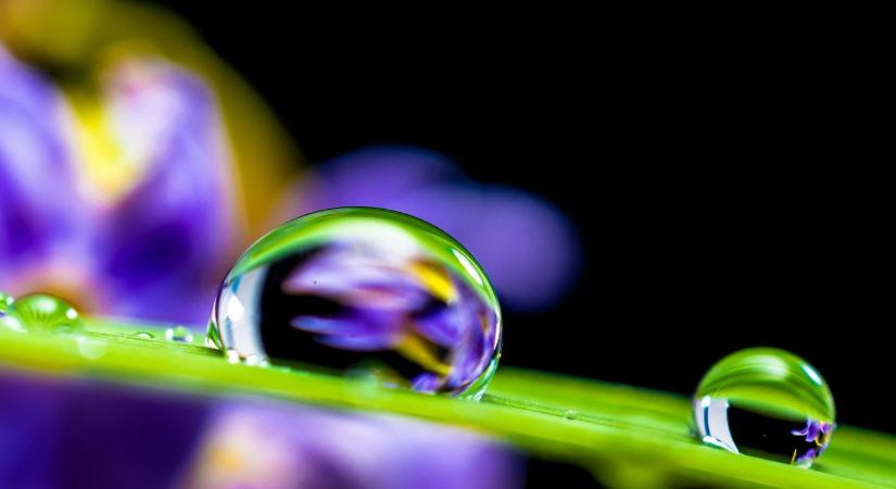 Vegyszerek nélkül a termésbiztonságért – mit tud a plazmaaktivált víz?