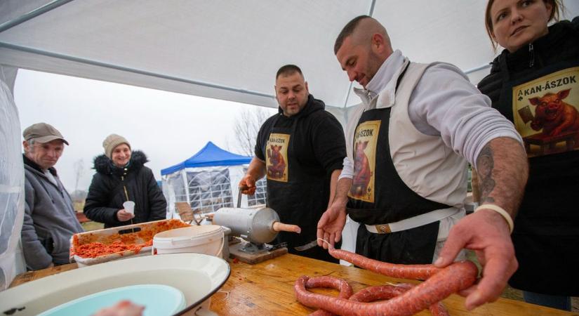 2025 legjobb pillanatai képekbe sűrítve: így élt, ünnepelt, dolgozott és örült Bács-Kiskun