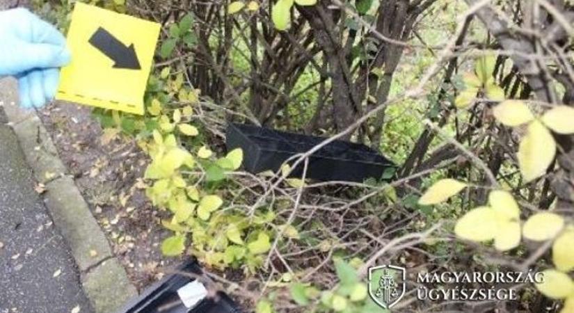 Kocsikat tört fel, ingatlanokba és üzletekbe tört be pénz reményében