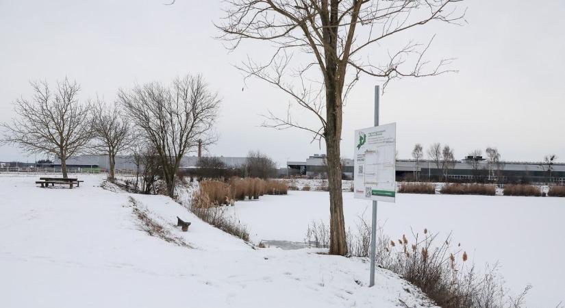 Befagyó horgásztavak: ezek a léki horgászat szabályai