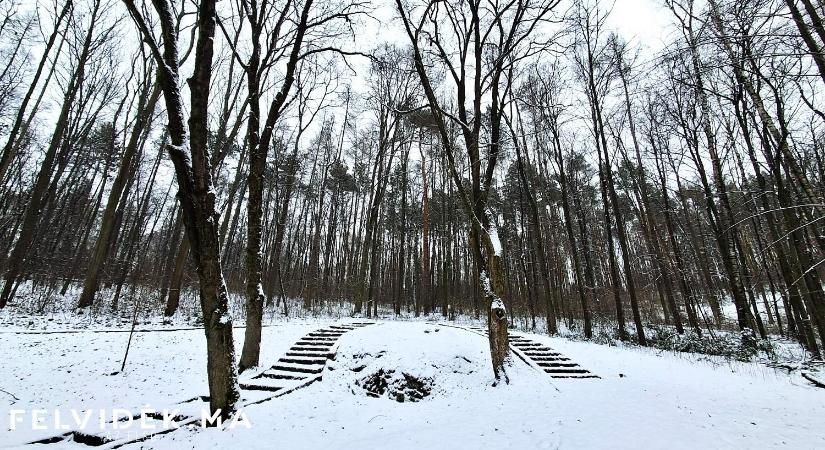 A havas táj csodája képeken
