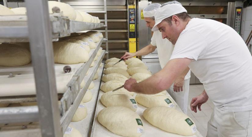 Elnyerte a mórahalmi Varga Pékség kenyere a Kiváló Minőségű Élelmiszer védjegyet