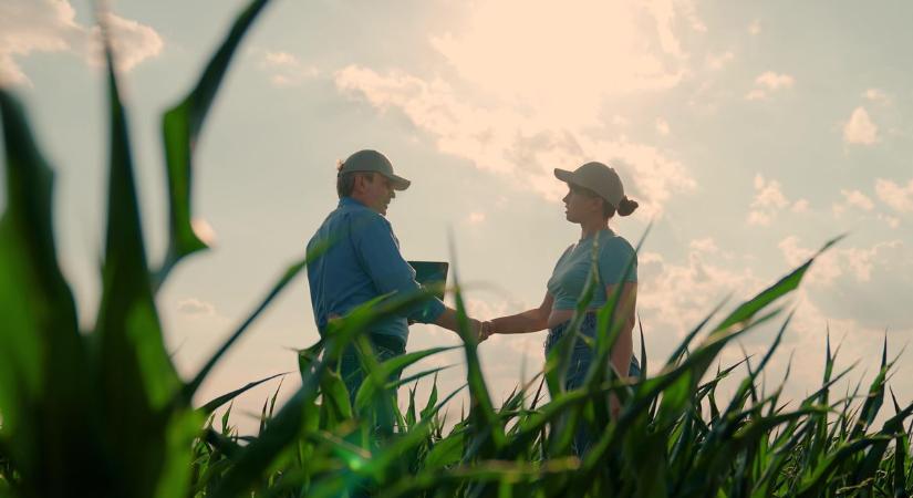 Ez minden idénymunkást érint: új szabályok léptek életbe 2026-ban