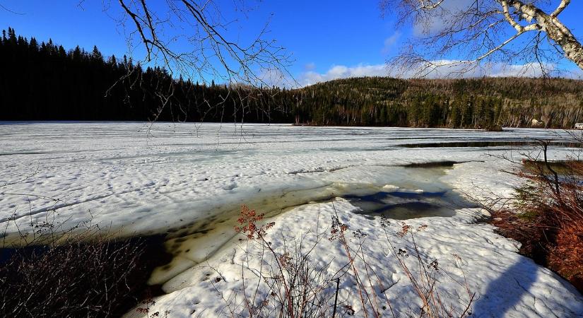 Olvadás–visszafagyás: ez a tél legtrükkösebb napja a kertnek