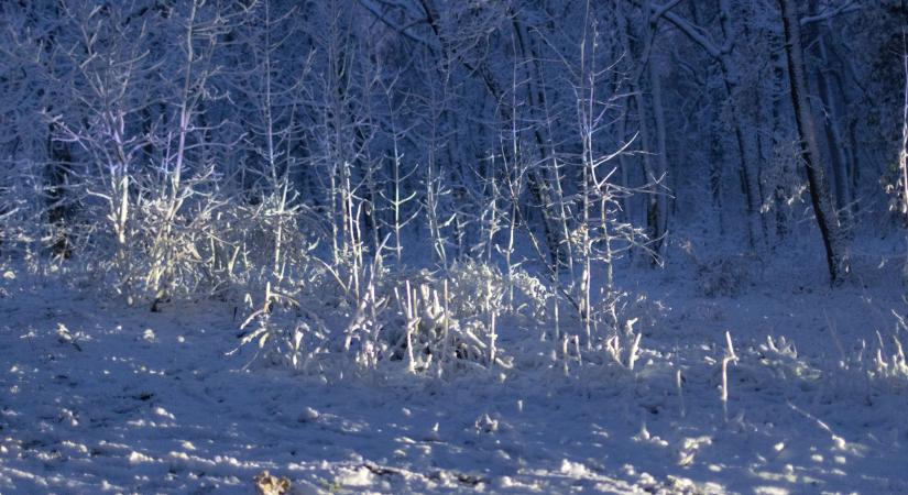 Brutális statisztika: 323 riasztás futott be a tűzoltókhoz egyetlen nap alatt, áramellátási zavarok vannak