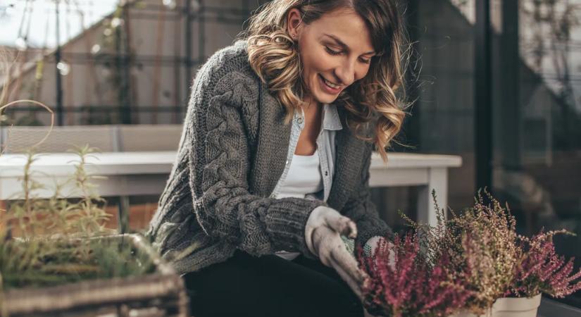 A növényeid élete most rajtad múlik – Így védd meg őket a nagy fagyok és a hó ellen