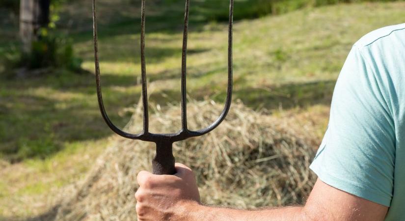 Ideges lett haragosára, vasvillával vett elégtételt