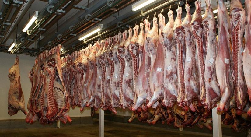 Kína új vámjai felforgatják a globális marhahúspiacot