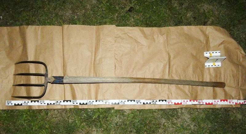 Egy italos éjszaka előkerült a vasvilla is