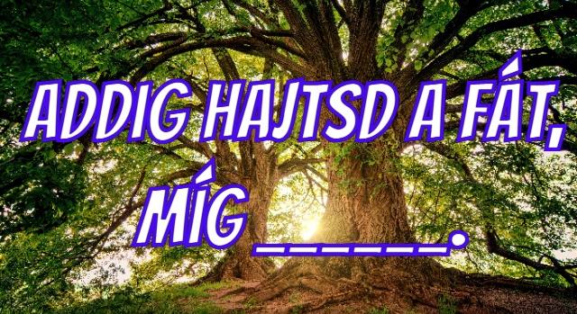 Napi közmondás feladat: Addig hajtsd a fát, míg… – Egészítsd ki helyesen!