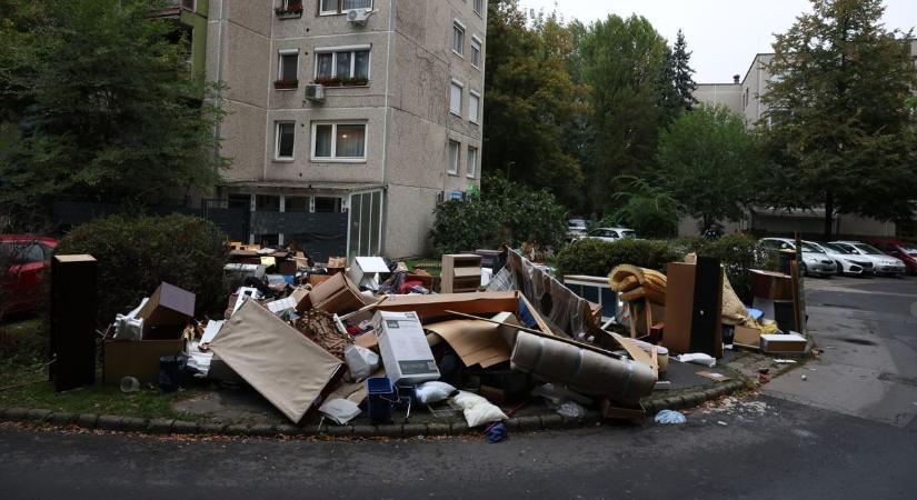 600 ezer forint figyelt egy táskában az egri lomtalanításon