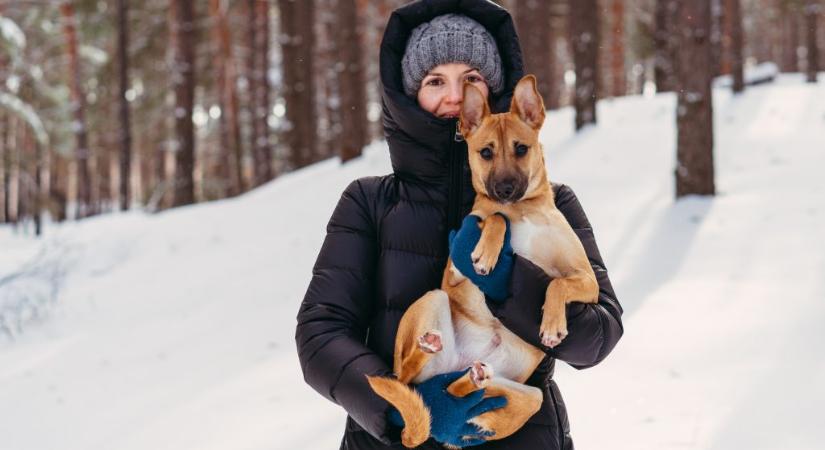 Brutális mínuszok jönnek, mutatjuk, hogyan védheti meg a kutyáját