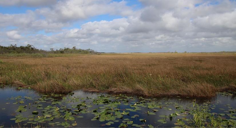 Természetvédelem a szántóföldeken: új KAP-pályázat indult
