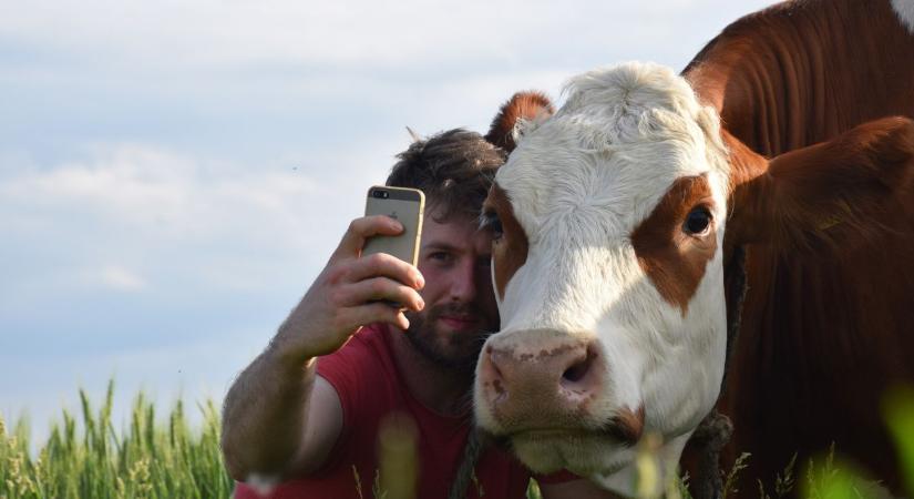 Németh Balázs: Próbáltam Isten nélkül sajtot készíteni, nem sikerült