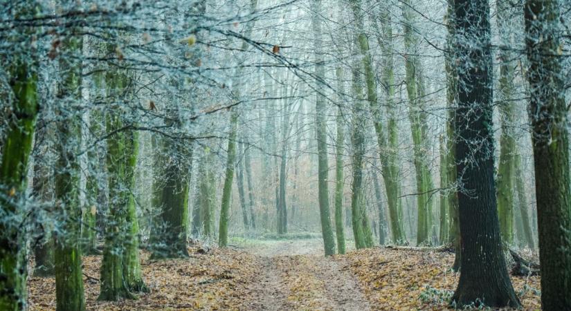 Itt ne túrázz hétvégén – vadászat lesz