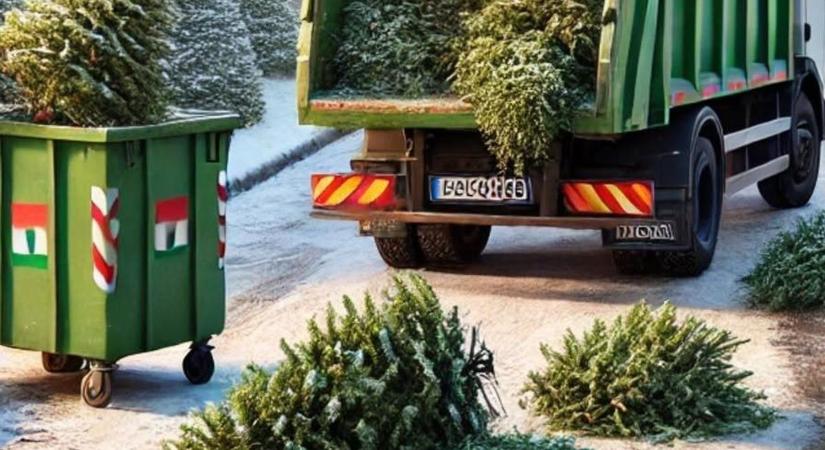 Díjmentes elszállítják a fenyőfákat Győrújfalun