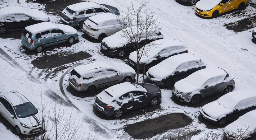 Hópárduc jelent meg egy egri parkolóban, fotókon a bestia