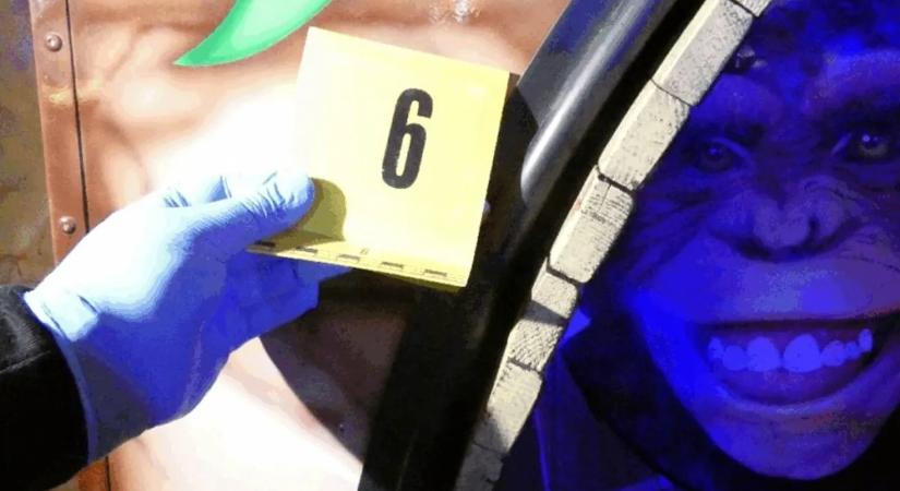 Dráma a majálison: a szülők legnagyobb rémálma vált valóra Dunakeszin