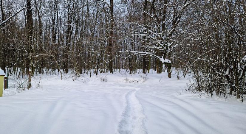 Pizzéria zárt be a hóhelyzet miatt Tatabányán