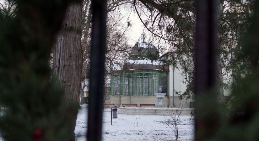 Napsütésben harap a hideg Sopronban - fotó, videó