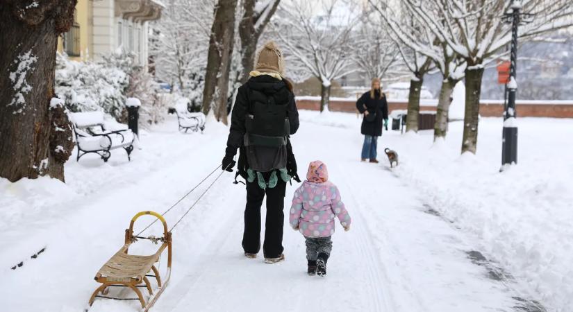 Operatív törzs: valamennyi állami szerv teljes kapacitással dolgozik