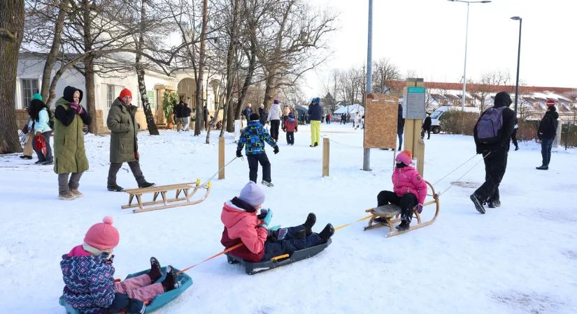 Lehullott a hó, de elfogyott a tél slágere: szánkóhiány van, a szülők mindent megpróbálnak