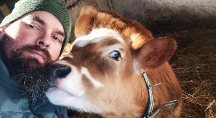 Feldolgozással lehet túlélni a tejpiaci hullámvasutat – gazdariport