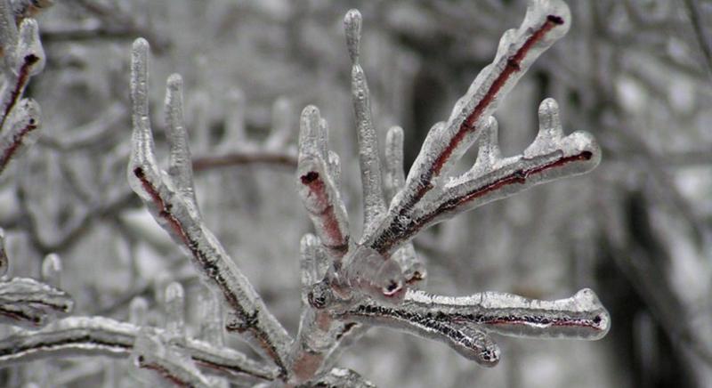 Életbe lépett a vörös kód
