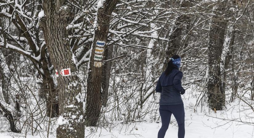 Jön a harmadik havazási hullám, a Bakonyban hóátfúvásokkal kell számolni