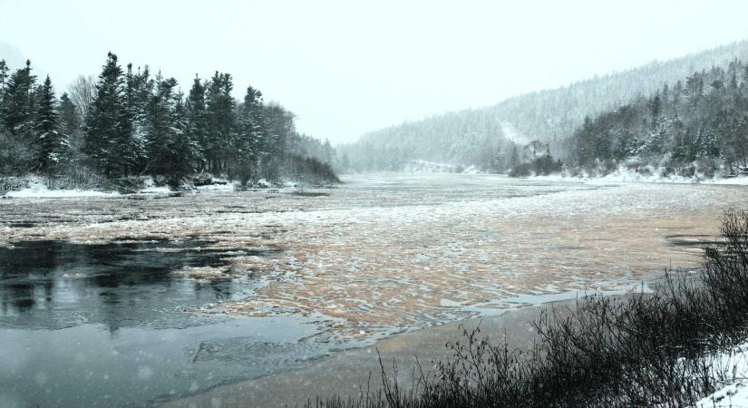 Árvízkészültséget rendeltek el a Nagy-Szamos vízgyűjtő területén