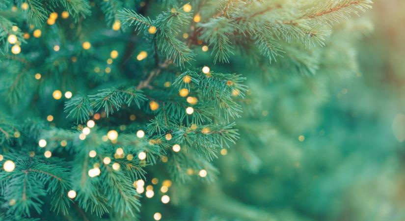 Kemény bírságot kaphat, aki ezt nem intézi el február közepéig itthon