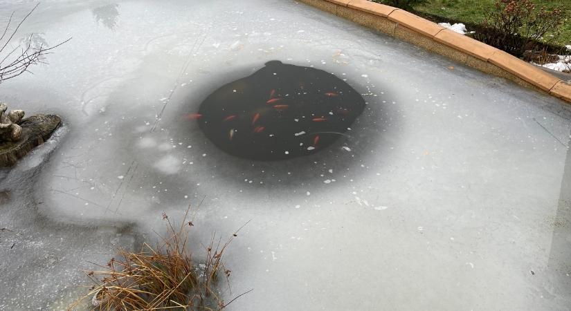 Kerti tó télen – lék, levegőztetés, iszap: mi a helyes sorrend?