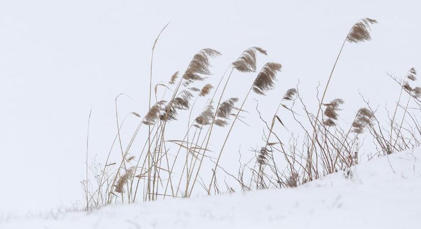 Feketén-fehéren: hótakaró a tónál