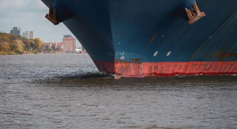 Dermesztő látvány fogadta a kikötőben dolgozókat — azonnal nyomozni kezdtek