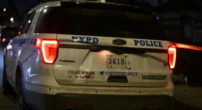 Sokkoló állatkínzás: két kutyát kötött autója mögé egy férfi a belvárosban – videó