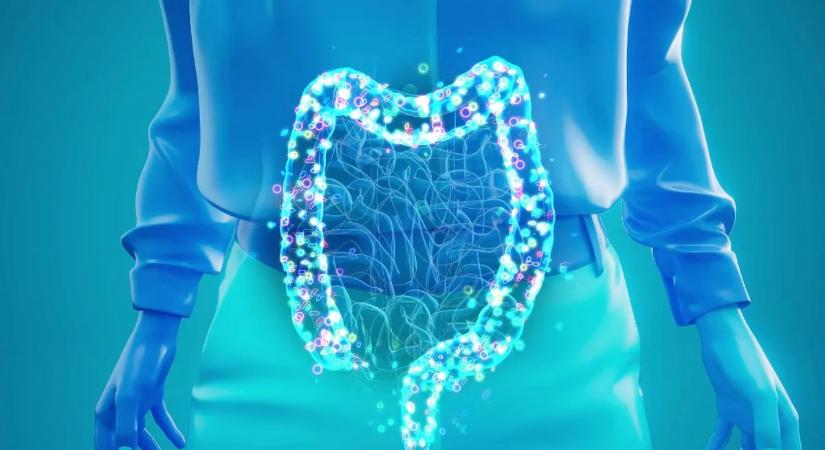 Rémisztő felfedezés: ezek a csendes gyilkosok pusztítják el a bélflóránkat