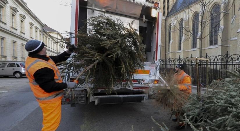 50 ezer forintra büntethetik, ha így szabadul meg a karácsonyfától