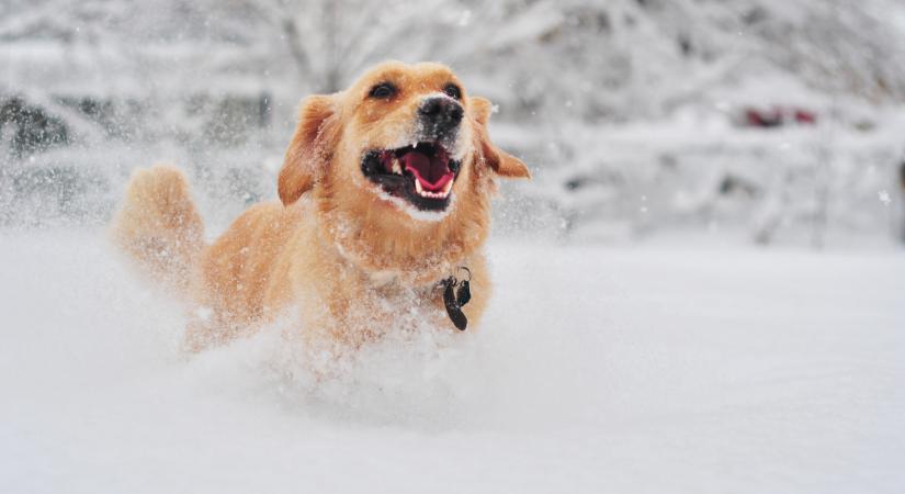 Elképesztő dolog történt Magyarországon: 15 éve nem volt erre példa