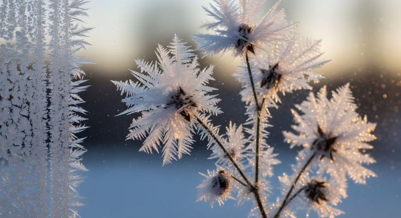 Amikor megfagyott Baja: –24,6 C-ot mértek
