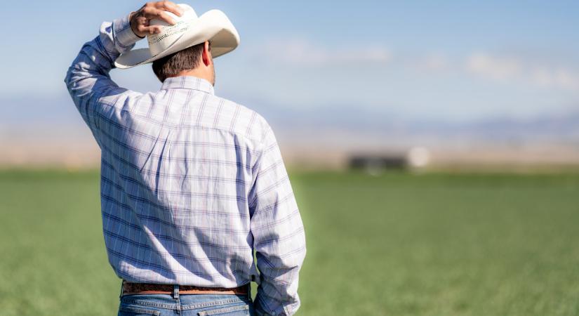 Újabb feltétellel álltak elő az olaszok: ez a műtrágya árán is meglátszik majd