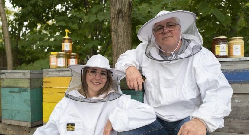 „Hasalok a kaptáron és nézem a méheket” – Somát türelemre szoktatták a méhek