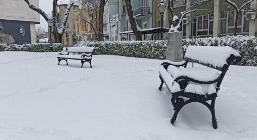 Hólepte Szabadka (Galéria)